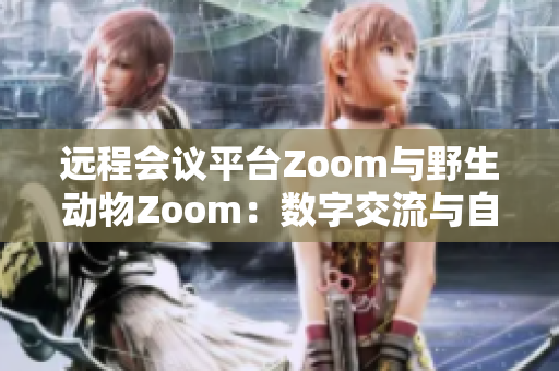 遠程會議平臺Zoom與野生動物Zoom：數(shù)字交流與自然界奇妙交匯