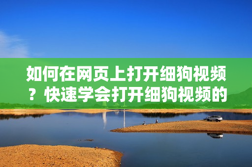 如何在網(wǎng)頁上打開細(xì)狗視頻？快速學(xué)會打開細(xì)狗視頻的方法