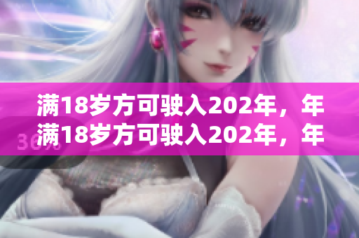 滿18歲方可駛入202年，年滿18歲方可駛入202年，年紀大于18周歲即可駛入202年