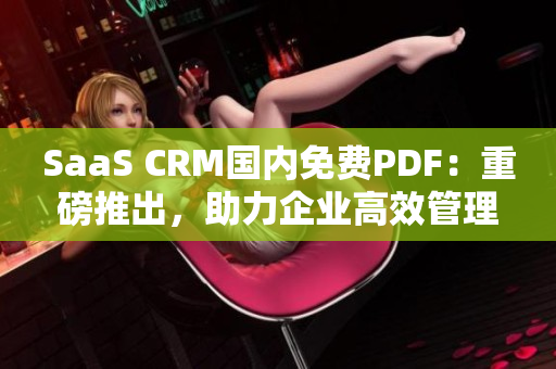 SaaS CRM國內(nèi)免費PDF：重磅推出，助力企業(yè)高效管理