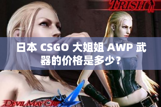 日本 CSGO 大姐姐 AWP 武器的價(jià)格是多少？