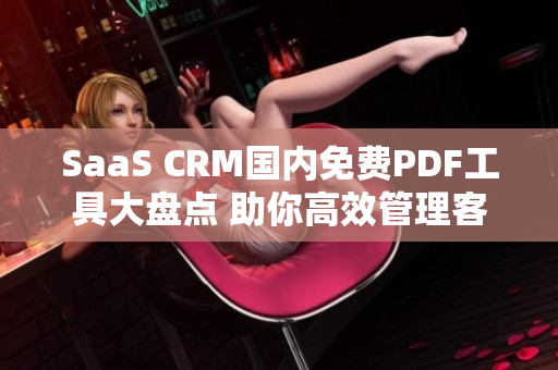 SaaS CRM國內(nèi)免費(fèi)PDF工具大盤點(diǎn) 助你高效管理客戶關(guān)系+簡便轉(zhuǎn)PDF!