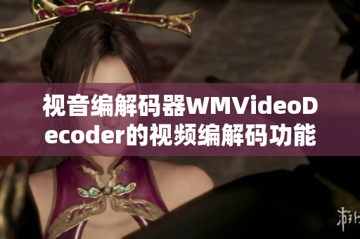 視音編解碼器WMVideoDecoder的視頻編解碼功能