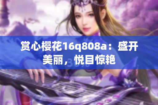 賞心櫻花16q808a：盛開美麗，悅目驚艷